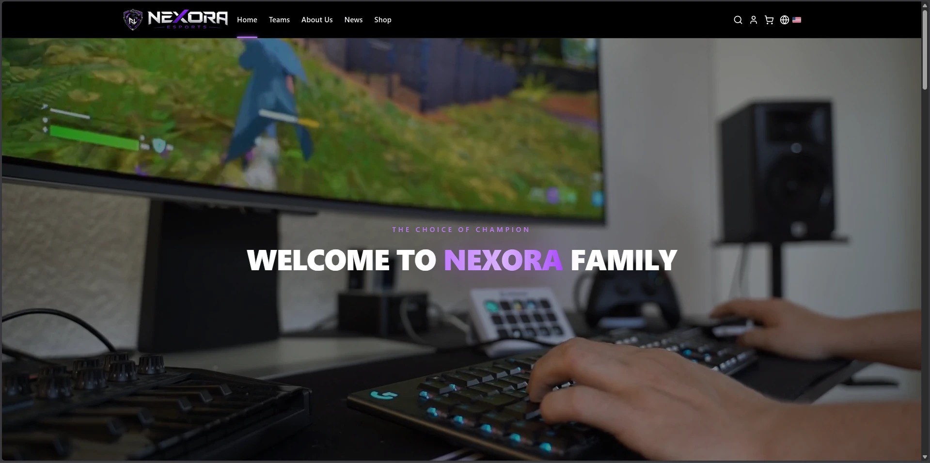 Nexora eSports homepage screenshot