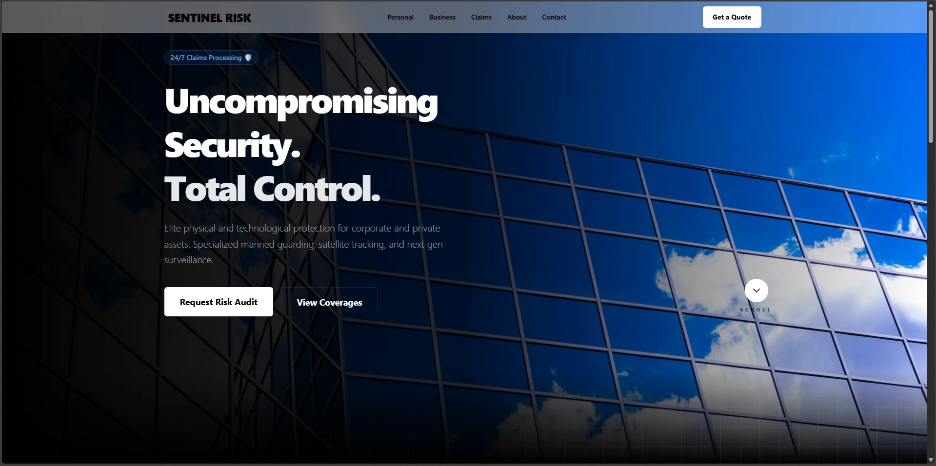 Sentinel Risk homepage screenshot